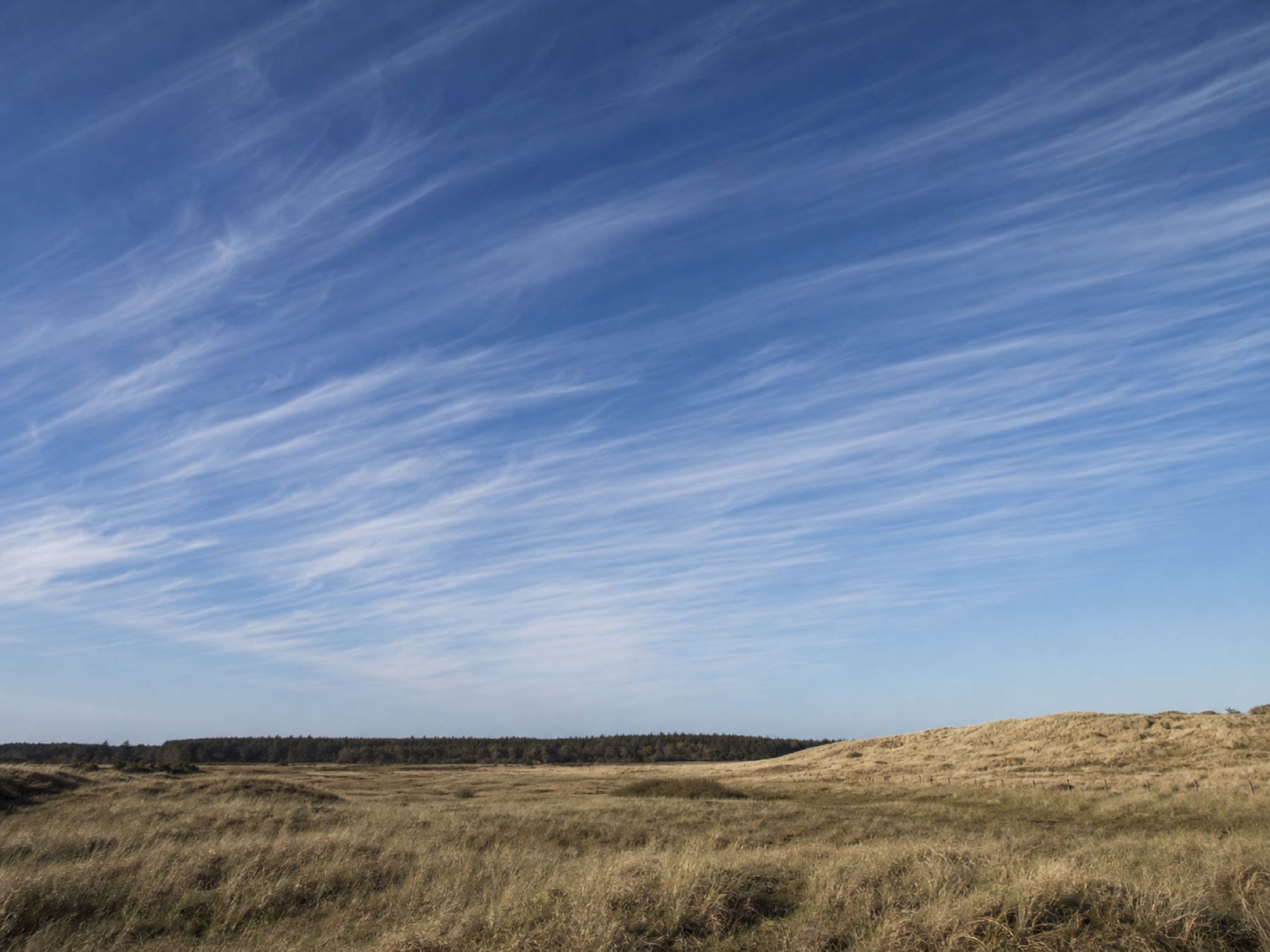 Cirrus fibratus over klitter i Thy