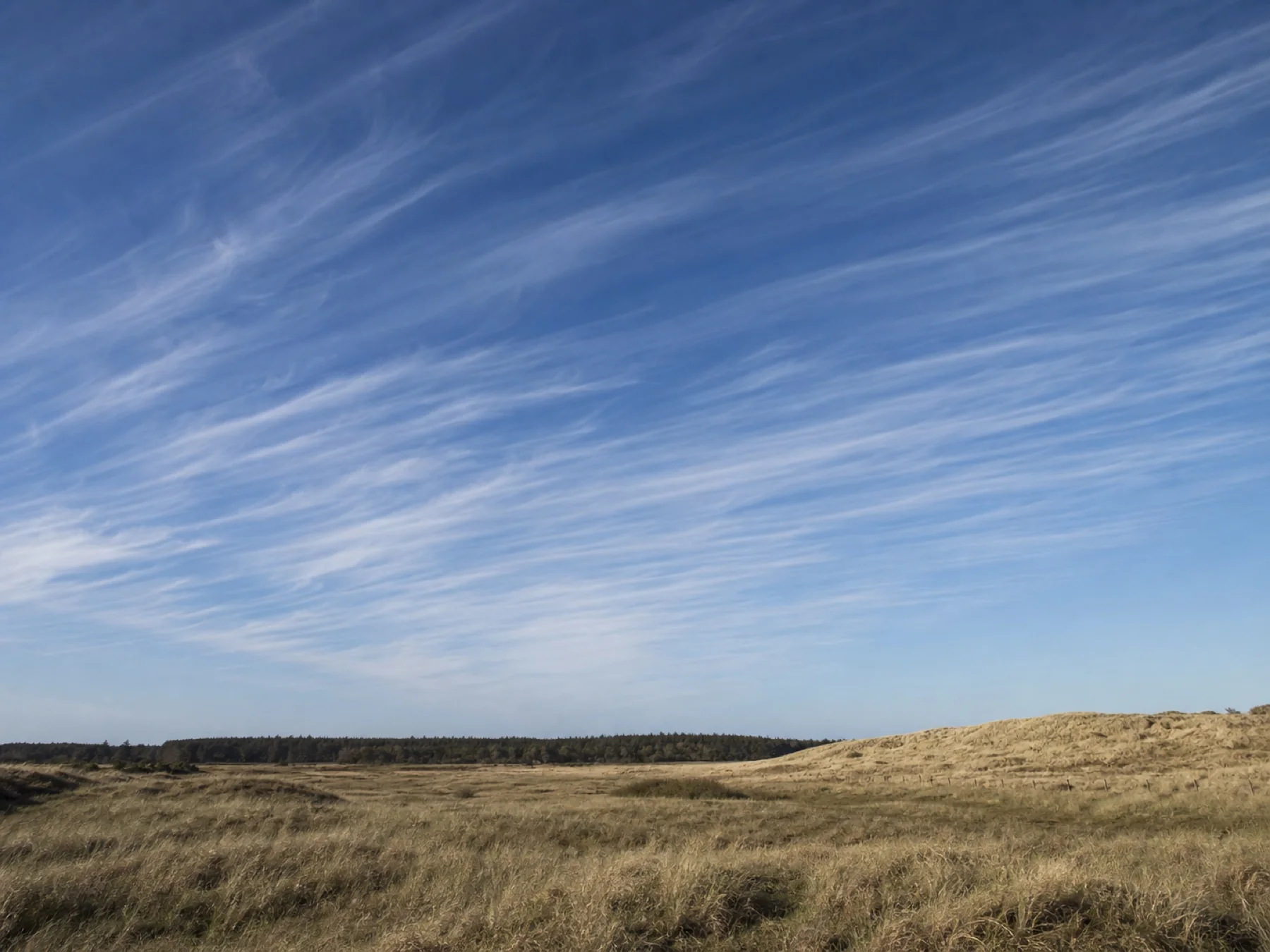 Cirrus fibratus over klitter i Thy